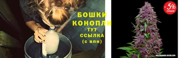 МДПВ Тавда