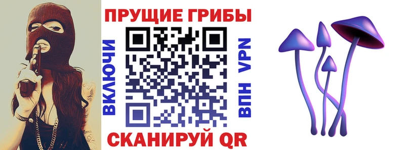 Купить где  Беслан  Псилоцибиновые грибы прущие грибы 